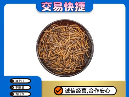 张家界高价回收散虫草